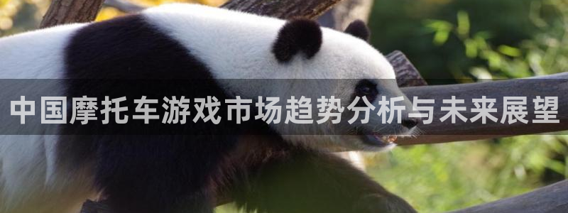 杜邦娱乐娱乐：中国摩托车游戏市场趋势分析与未来展望