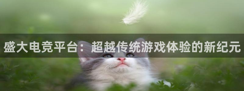 杜邦娱乐开户测速：盛大电竞平台：超越传统游戏体验的新纪元