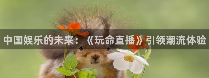 857直播足球比赛：中国娱乐的未来：《玩命直播》引领潮流体验
