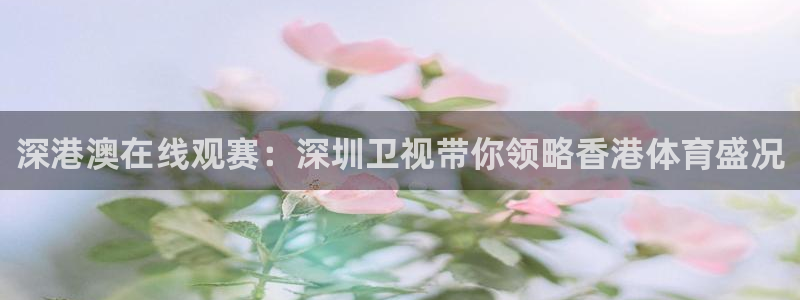 857直播体育专业直播：深港澳在线观赛：深圳卫视带你领略香港体育盛况