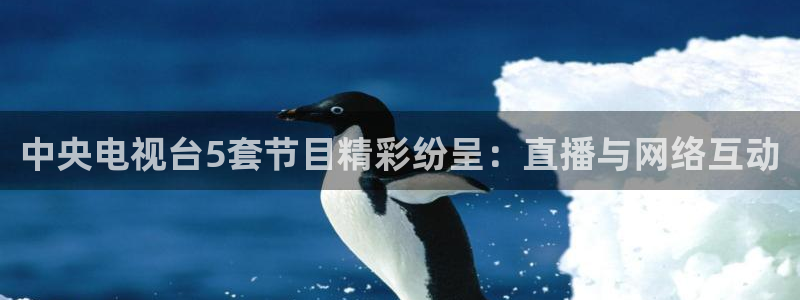 857nba体育赛事直播：中央电视台5套节目精彩纷呈：直播与网络互动