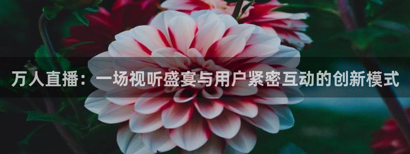 857tv直播nba在线直播：万人直播：一场视听盛宴与用户紧密互动的创新模式