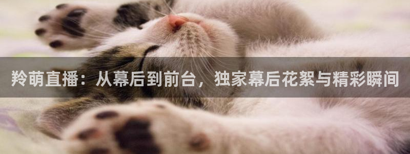 857足球直播：羚萌直播：从幕后到前台，独家幕后花絮与精彩瞬间