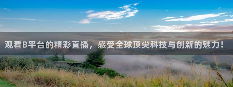 857足球赛事直播：观看B平台的精彩直播，感受全球顶尖科技与创新的魅力！