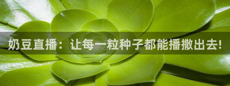 857体育赛事直播下载：奶豆直播：让每一粒种子都能播撒出去!